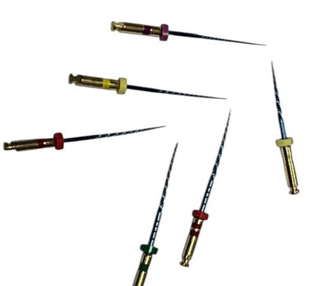 Endo Cross Section Files